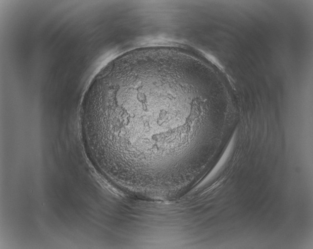 X0000056371463200509021801