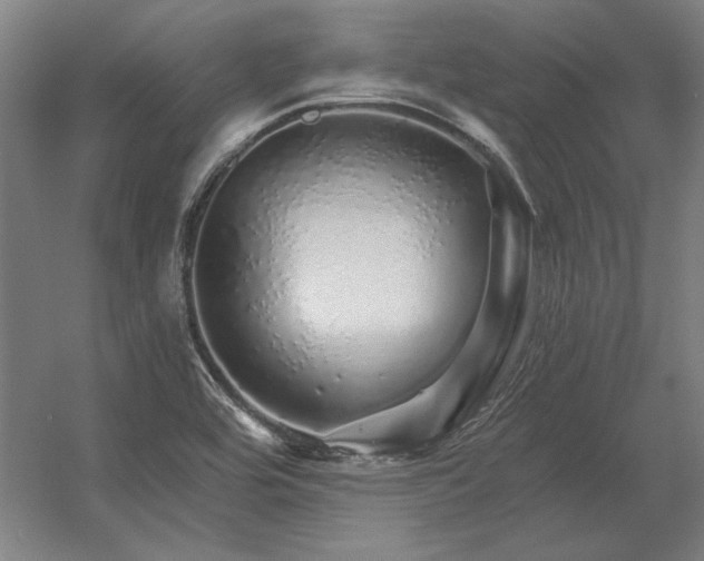 X0000056371464200509021801