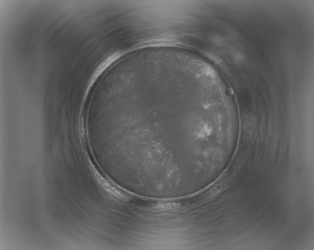 X0000056371466200509021801