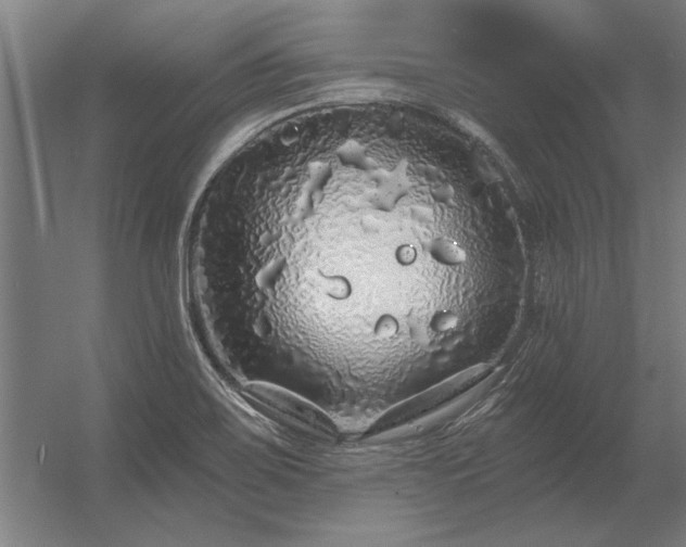 X0000056371467200509021801