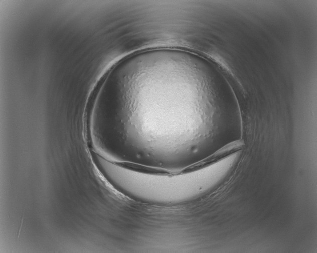 X0000056371468200509021801