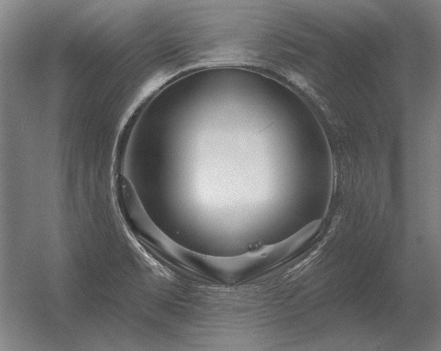 X0000056371469200509021801