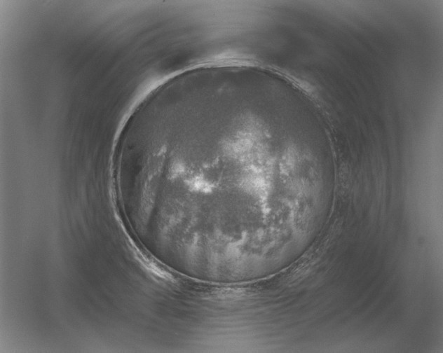 X0000056371470200509021801