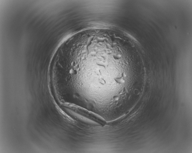 X0000056371471200509021801