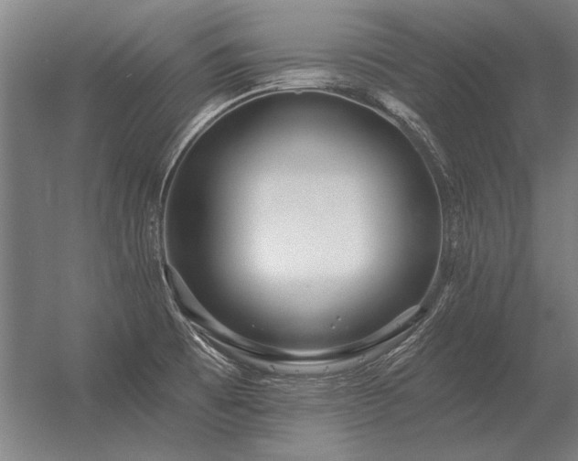 X0000056371473200509021801