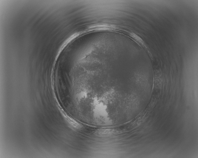 X0000056371474200509021801