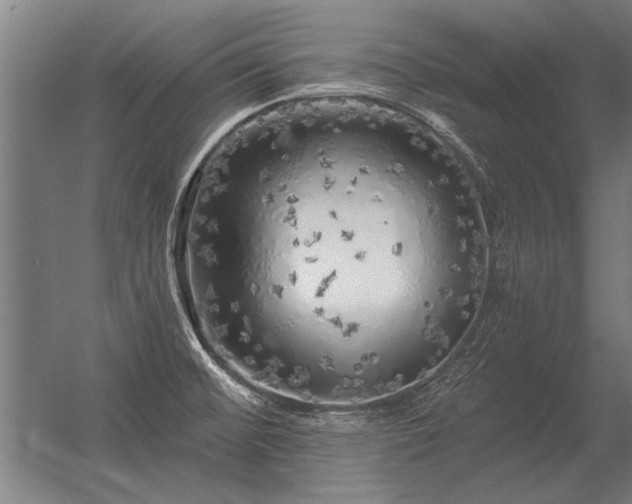 X0000056371476200509021801