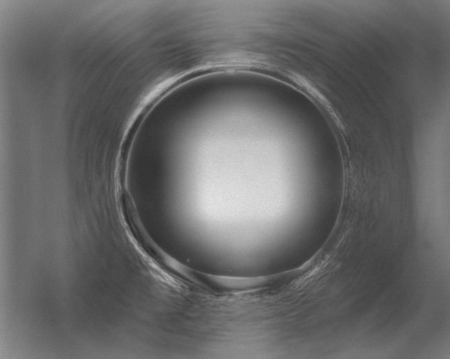 X0000056371477200509021801