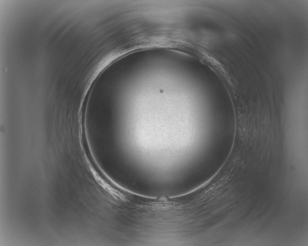 X0000056371479200509021801