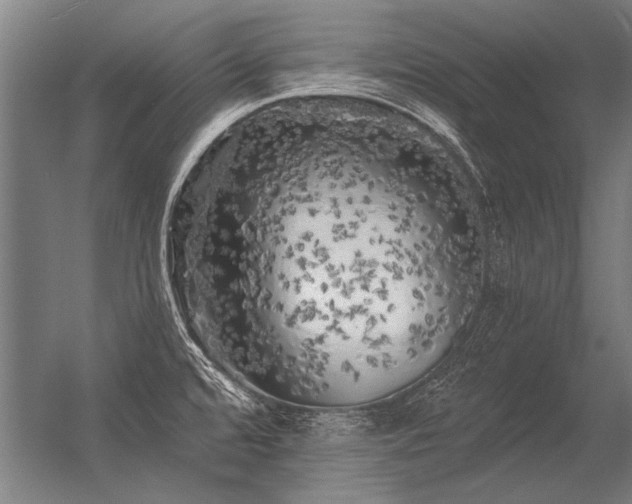 X0000056371480200509021801