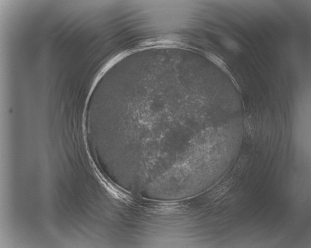 X0000056371482200509021801