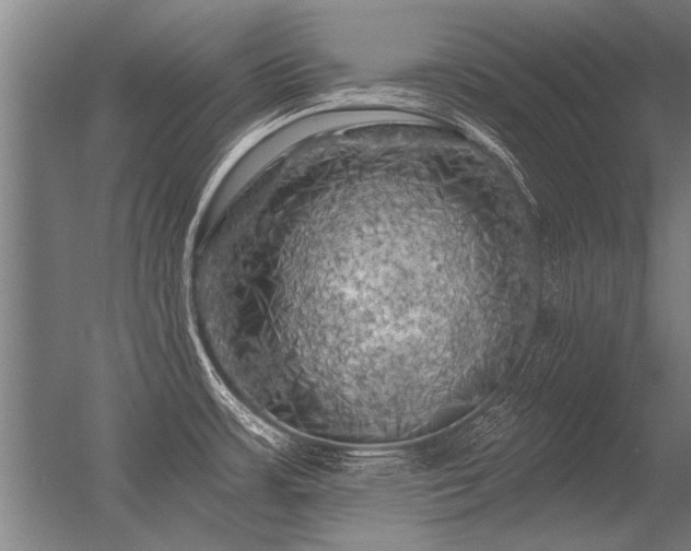 X0000056371483200509021801