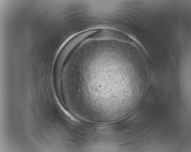 X0000056371484200509021801