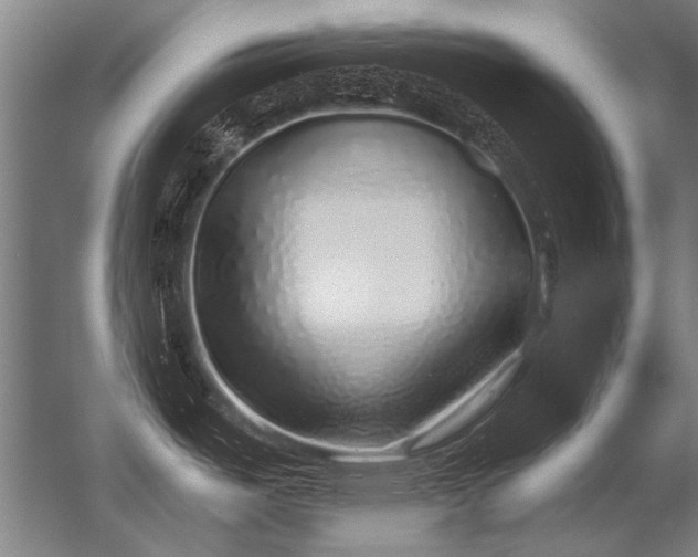 X0000056371487200509021801