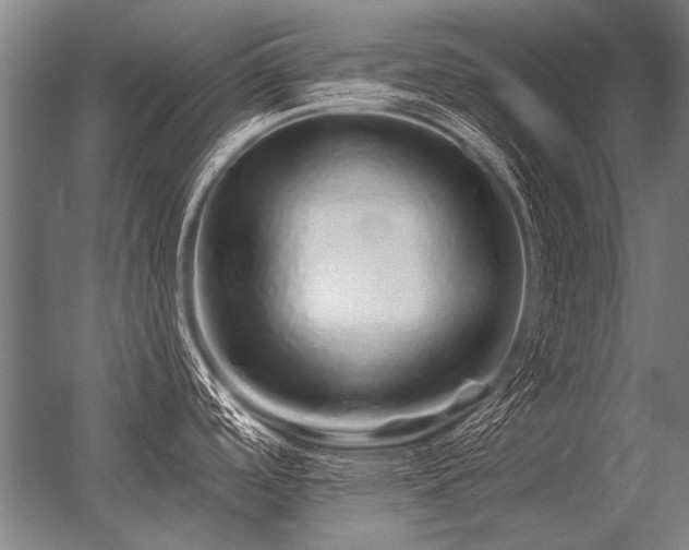 X0000056371488200509021801