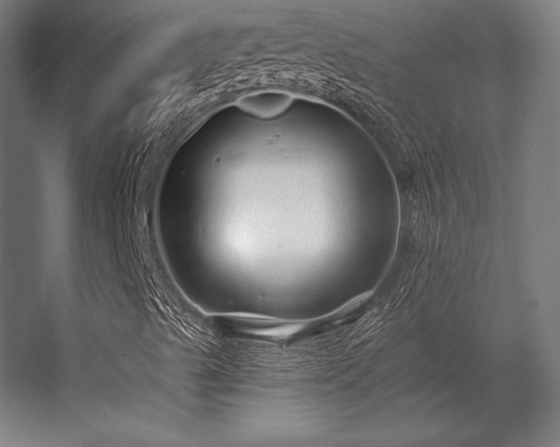 X0000056371489200509021800