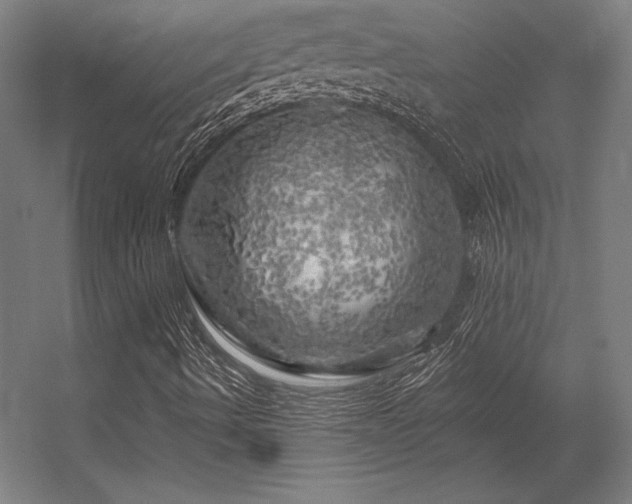 X0000056371490200509021800