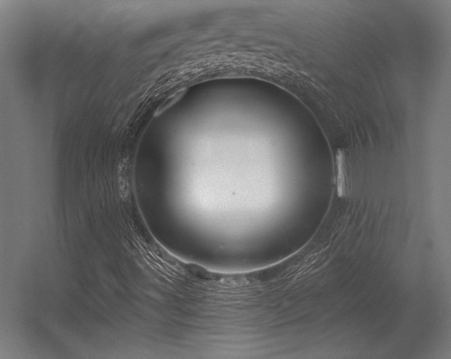 X0000056371491200509021800