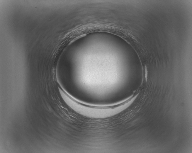 X0000056371492200509021800