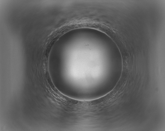 X0000056371493200509021800