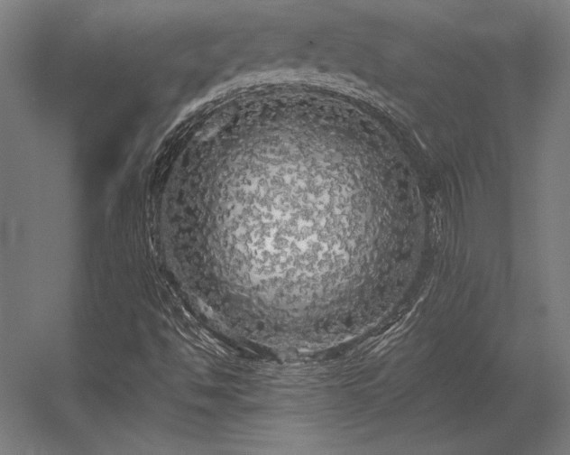 X0000056371494200509021800