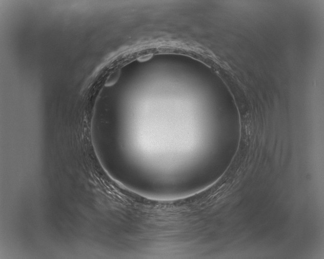 X0000056371495200509021800