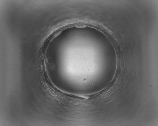 X0000056371496200509021800