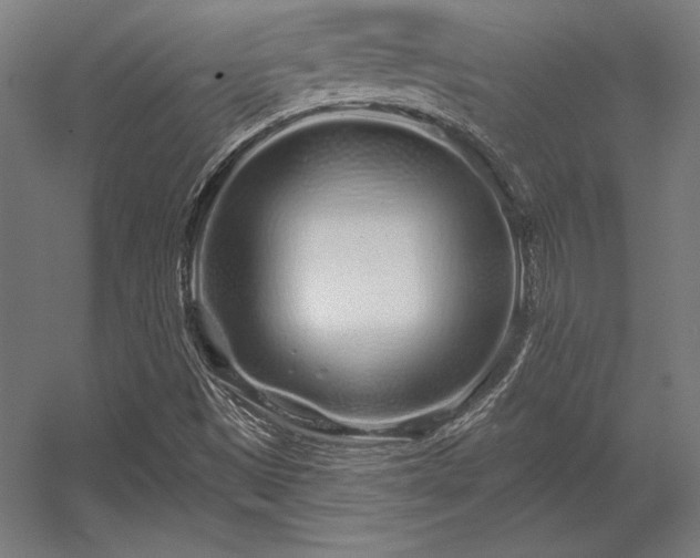 X0000056371497200509021800