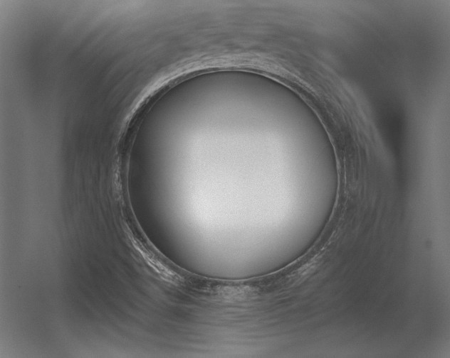 X0000056371498200509021800