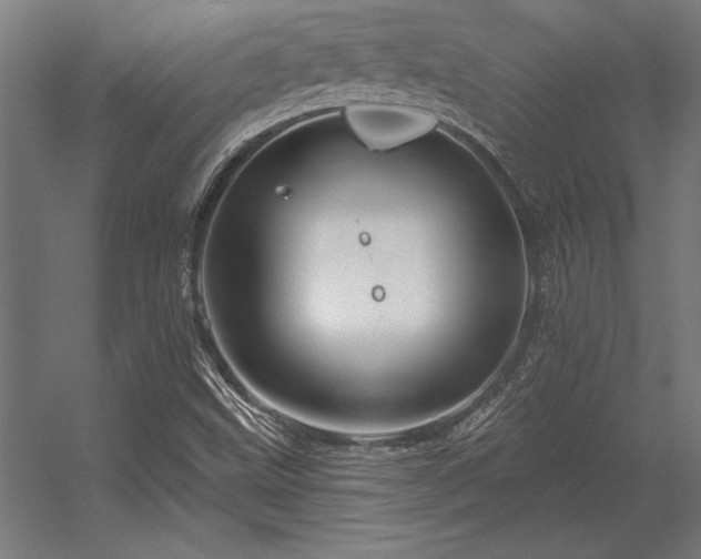 X0000056371499200509021800