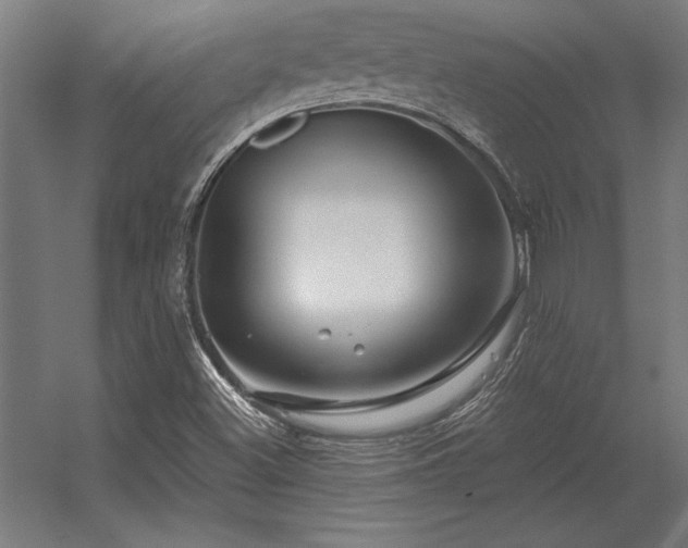 X0000056371500200509021800