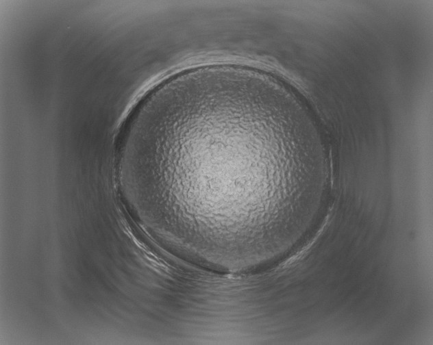 X0000056371501200509021800