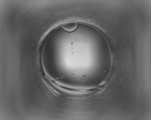 X0000056371502200509021800