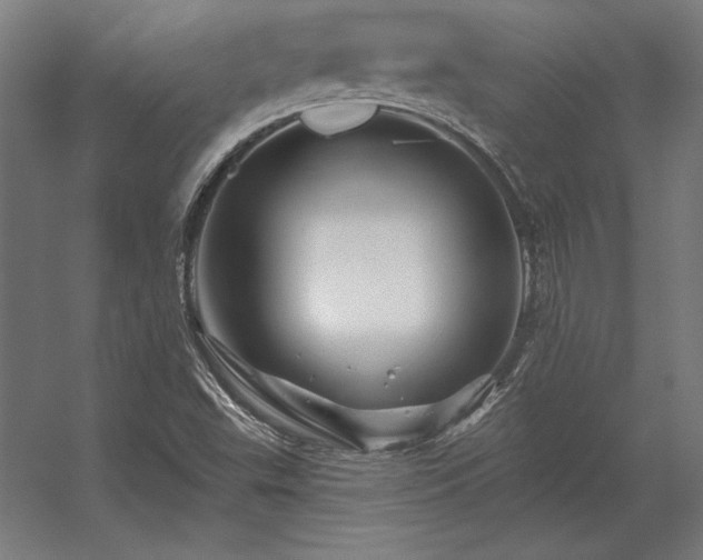 X0000056371503200509021800