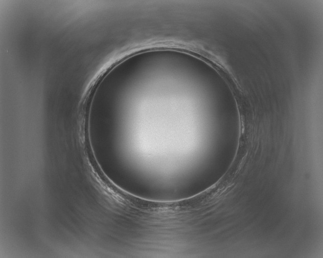 X0000056371504200509021800