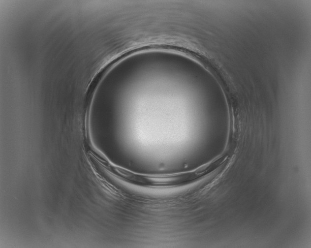 X0000056371505200509021800