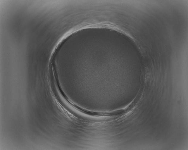 X0000056371506200509021800