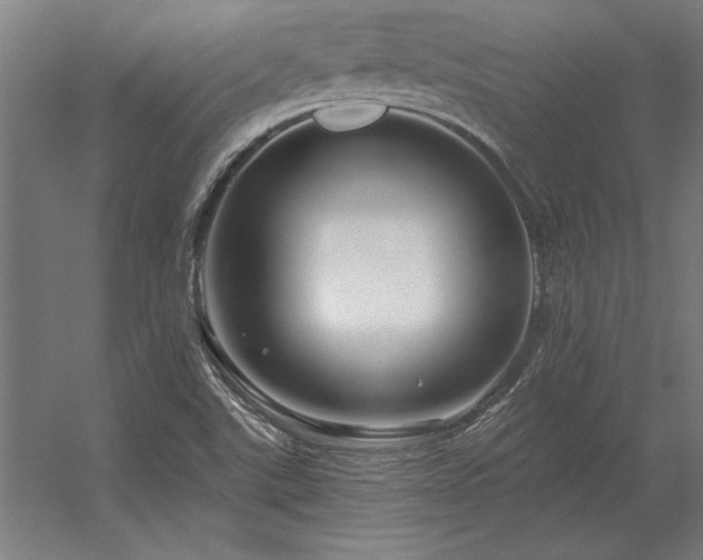 X0000056371507200509021800