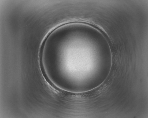 X0000056371508200509021800