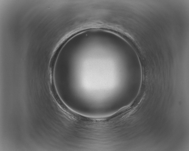 X0000056371509200509021800