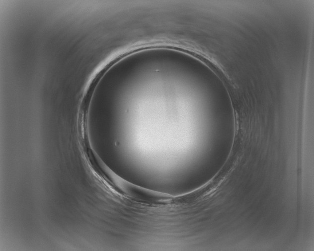 X0000056371510200509021800