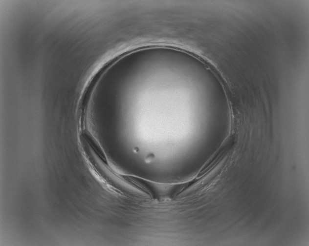 X0000056371511200509021800