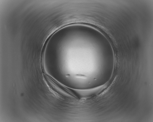 X0000056371513200509021801