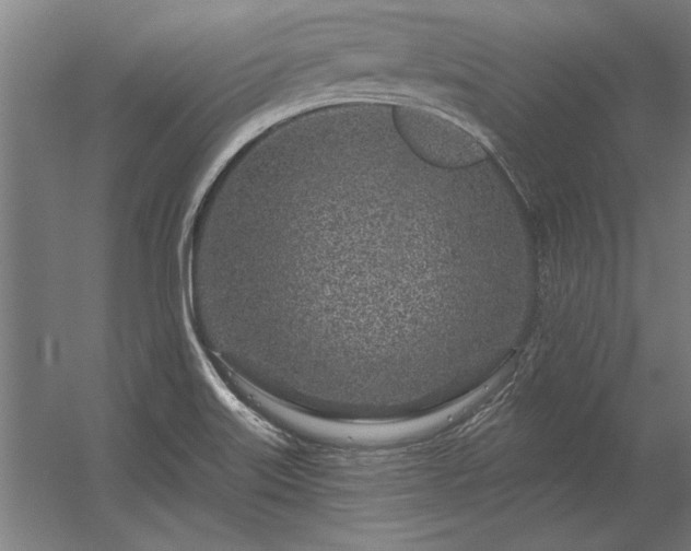 X0000056371515200509021801