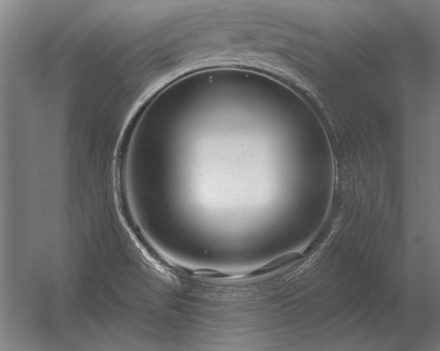 X0000056371517200509021801