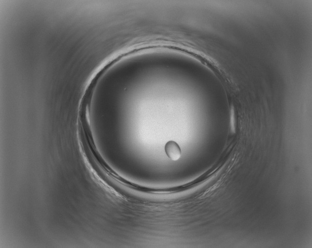 X0000056371518200509021801