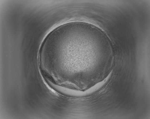 X0000056371519200509021801