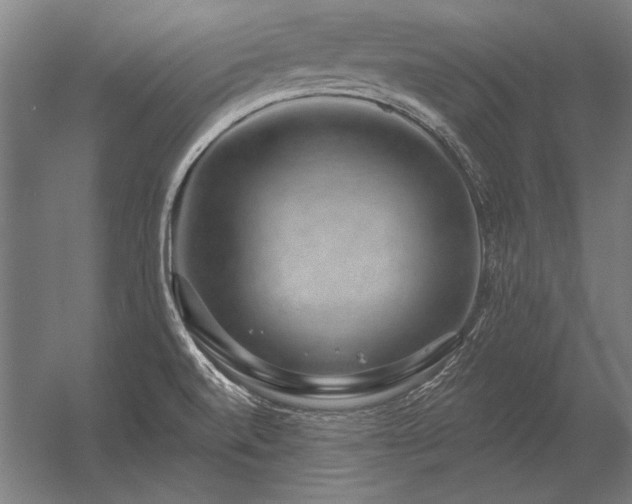 X0000056371520200509021801