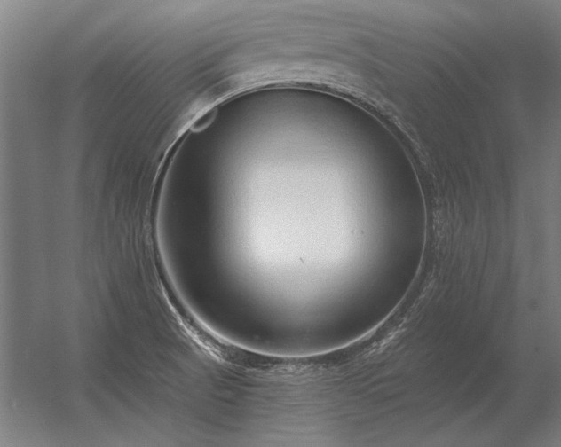 X0000056371521200509021801