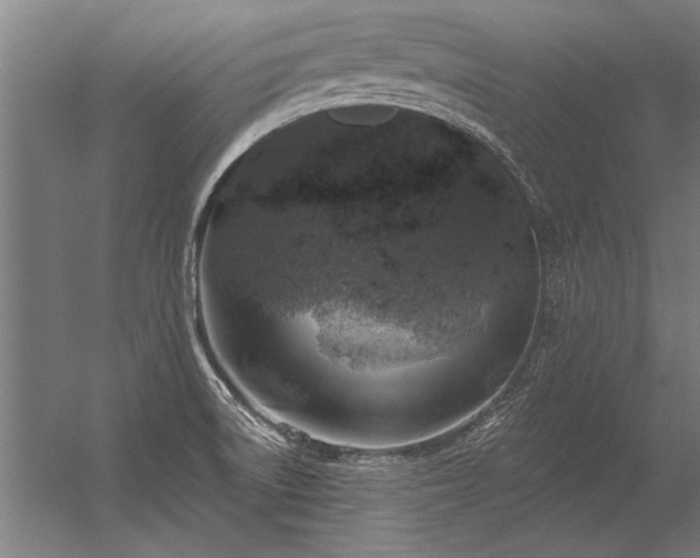 X0000056371522200509021801